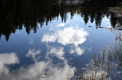 古诗词鉴赏之：辛弃疾的《生查子·游雨岩》
