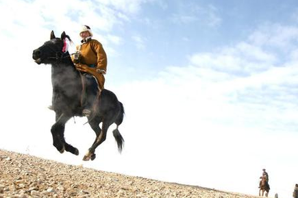 汉朝对骑兵竭力发展 汉朝为什么还是打不过游牧民族