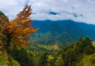 为什么历史上以蜀地为根本建立的政权，都没能统一天下？