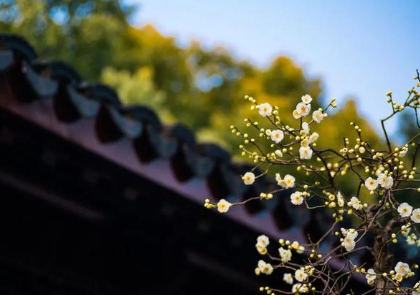 从古诗词中探索隐藏的春意，诗人描绘了怎样的景象？