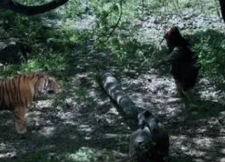 水浒传中武松上梁山前后有何变化？又有何贡献？
