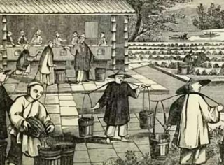 在古代食盐有着什么样的历史？地位有多重要