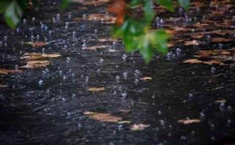 《乌夜啼·昨夜风兼雨》的原文是什么？这首词该如何赏析呢？