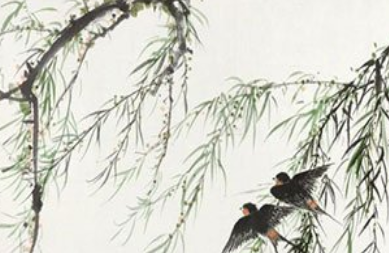 《普天乐·柳丝柔》的写作背景是什么？该怎样去理解呢？