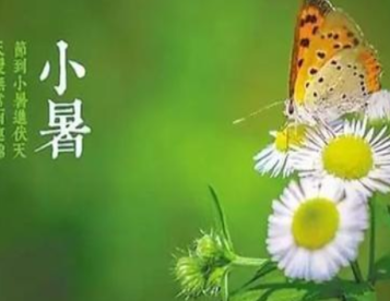 唐代元稹《咏廿四气诗·小暑六月节》原文，注释及译文