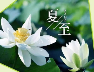 《夏夜追凉》南宋杨万里所作，他是如何避暑纳凉的？