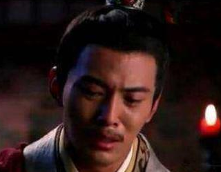 立年仅八岁的刘弗陵为储君，汉武帝没有别的选择吗？