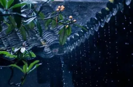 宋代词人蒋捷最经典的词作：《虞美人·听雨》