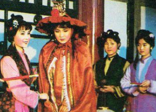 红楼梦中贾宝玉心仪的姨娘人选是谁？是晴雯吗？