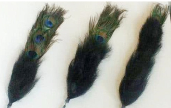 三眼花翎有多珍贵?在清朝是怎样的象征