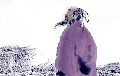 杜荀鹤《春宫怨》：这首诗含有自叹无人赏识之意