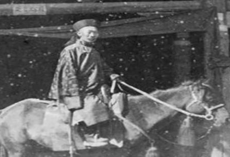 古代战马到底是什么样的 战马为什么大多数都是很矮的样子