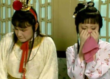 《红楼梦》第三十四回 情中情因情感妹妹 错里错以错劝哥哥