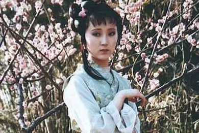 黛玉是个醋坛子，为何却从不吃宝琴的醋呢？