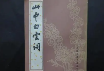 《山中白云词》的作者是谁？主要内容是什么？