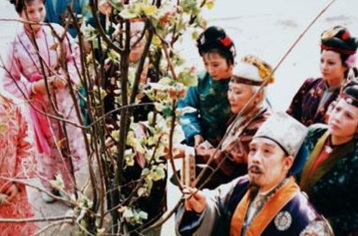 贾府败落的原因是什么？仅仅与内乱有关？