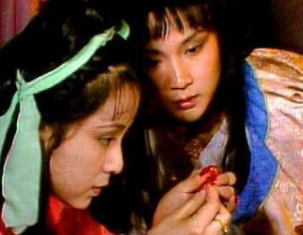 红楼梦中，袭人与晴雯两人对宝玉的情感有何区别？