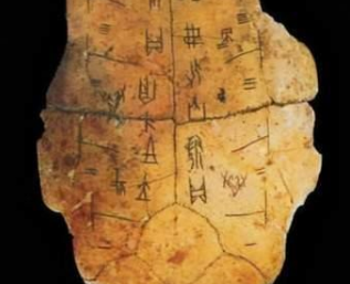 鼻祖这一词是何起源？它与创始始祖之间有何关系？