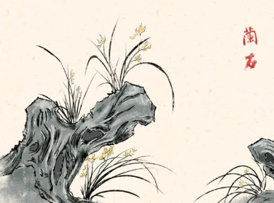 历史上有哪些赞颂兰花的诗作？兰花为何受人青睐？
