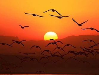 秦观所作的《满庭芳&middot;山抹微云》，蕴含流连难舍之情