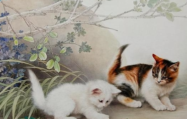 古人为什么不吃猫肉?原因有哪些呢？