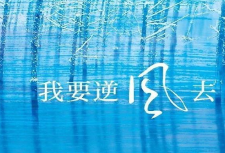 《我要逆风去》是根据小说改编的吗？主要剧情简介