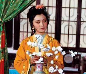 红楼梦中夏金桂是什么身世？她的性格怎么样?