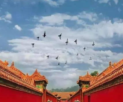 故宫大气磅礴看着很气派 皇宫的床为什么普遍比较小