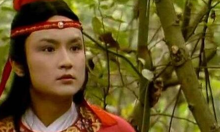 红楼梦第39回主要内容是什么？这回该如何解析？