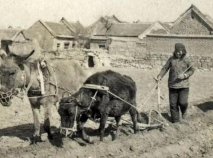 古代土地那么多 古人为什么帮地主打工都不去开荒种地