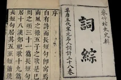 《词综》的作者是谁？主要内容是什么？