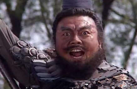 揭秘：蜀汉大臣杨戏评价过哪些大将？