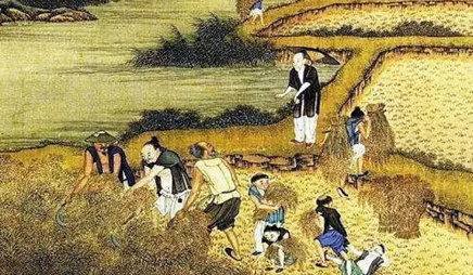 在明初的洪武年间，明朝的农业经济又是如何发展的？