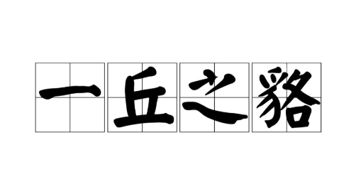 历史文化探索：一丘之貉的典故及故事介绍