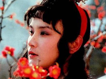 红楼梦中小鹊是赵姨娘的人，她为何要给宝玉通风报信？