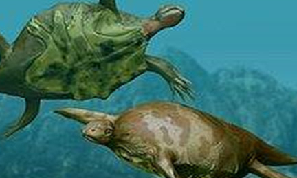 在自然界的生物中，半甲齿龟是世界上最老的海龟吗？