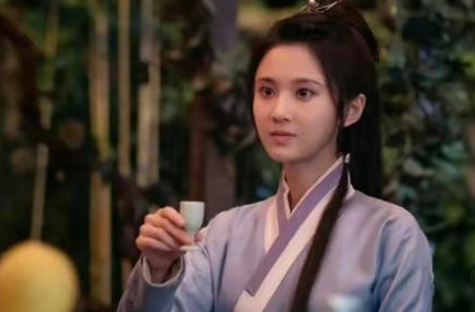 《一片冰心在玉壶》拍摄质量如何？有哪些看点?