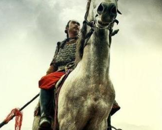 岳飞北伐到底有多大的野心？赵构为何会无视他