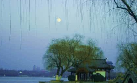《白鹤子·鸟啼花影里》的写作背景是什么？该怎样去理解呢？