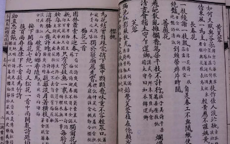仅次于李清照的才女，死后为何作品被烧？