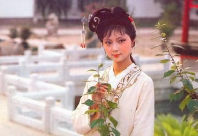《红楼梦》第三十六回 绣鸳鸯梦兆绛芸轩 识分定情悟梨香院