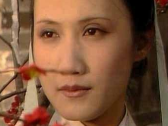 妙玉为什么能住在大观园？靠的是什么