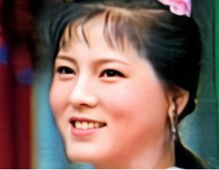 红楼梦中的袭人结局惨淡就是因为没有跟对人？