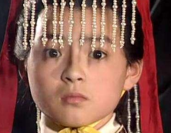 历史上因意外当上皇帝的帝王都有哪些人？