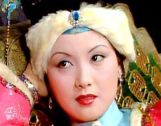 抄检大观园时，王熙凤对黛玉的照顾能说明什么？