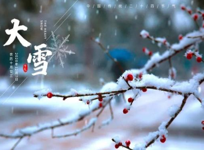 叶梦得所作的《江城子·大雪与客登极目亭》，描写了词人对雪花的喜爱