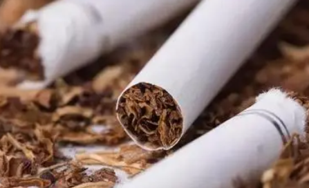 烟草是如何传入中国的？为何禁烟一直没能成功呢？