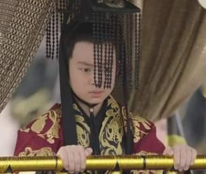 鲁芝是什么人?他的一生都经历了什么？