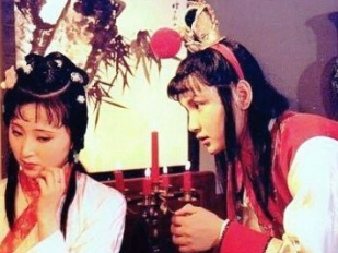 红楼梦中袭人不希望黛玉嫁给黛玉的原因是说什么？