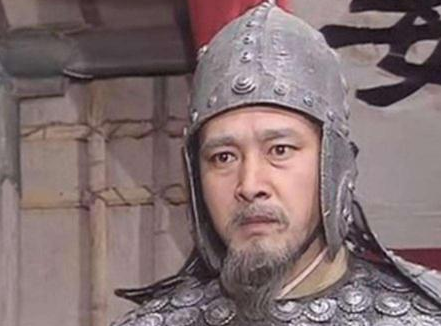 演义中邓艾偷渡阴平成功 正史中姜维有没有防住邓艾